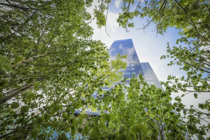 Bomen van Bosk met de Achmeatoren op de achtergrond
